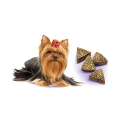 Ласощі Brit Care Mini Treats Liver Detox д/собак малих порід детокс печінки індичка смак чорниця 50 г